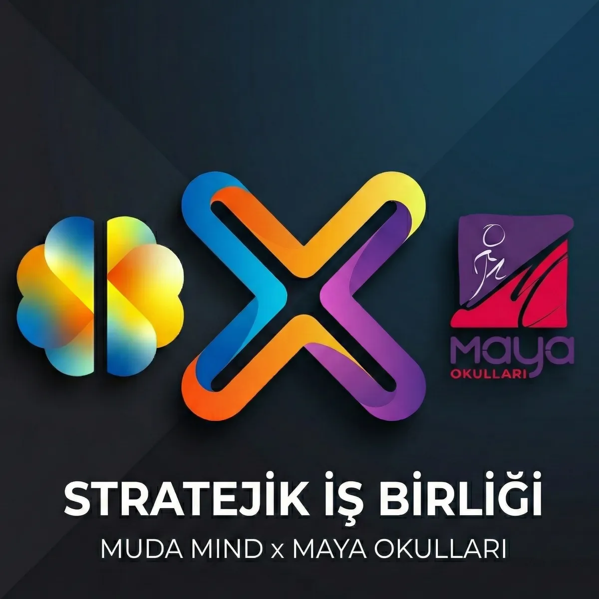 Maya 360° Dijital Dönüşüm